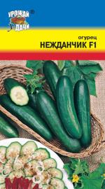 Огурец  НЕЖДАНЧИК F-1