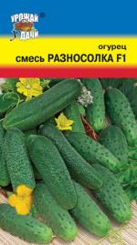 Огурец  СМЕСЬ РАЗНОСОЛКА F-1