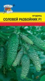 Огурец  СОЛОВЕЙ РАЗБОЙНИК F-1
