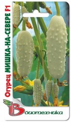 Огурец МИШКА-НА-СЕВЕРЕ F-1