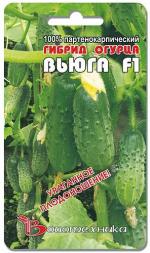 Огурец ВЬЮГА F-1