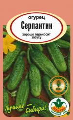 Огурец   СЕРПАНТИН
