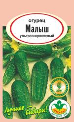 Огурец   МАЛЫШ