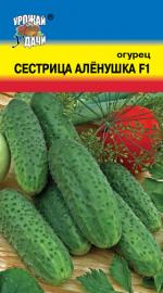 Огурец  СЕСТРИЦА АЛЕНУШКА F-1