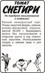 томат снегири