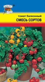 Томат  СМЕСЬ БАЛКОННЫХ СОРТОВ