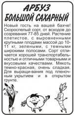 арбуз большой сахарный