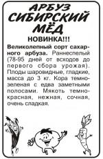 арбуз сибирский мед