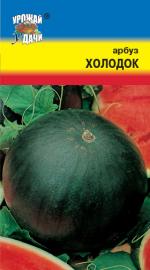 арбуз Холодок