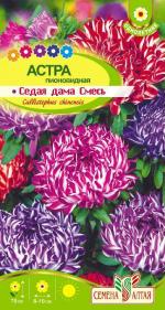 астра седая дама смесь