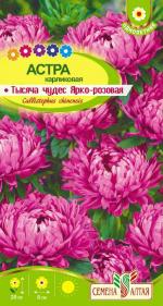 астра тысяча чудес ярко - розовая