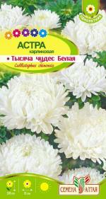 астра тысяча чудес белая