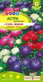 астра карликовая смесь