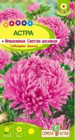 астра аполлония светло - розовая