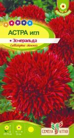астра эсмеральда