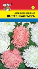 астра пастельная смесь