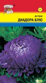 астра диадора блю
