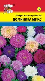 астра доминика микс
