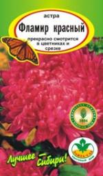 Астра Фламир красный