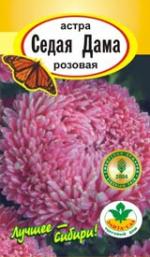 Астра   СЕДАЯ ДАМА  красная  