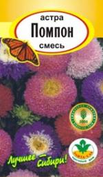 астра Помпонная смесь