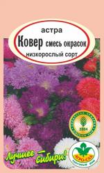 астра Ковер смесь окрасок