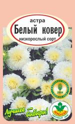 астра Ковер белый