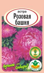 астра Башня розовая