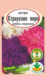 Астра Страусово перо смесь