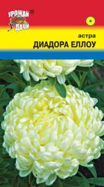 Астра    ДИАДОРА ЕЛЛОУ