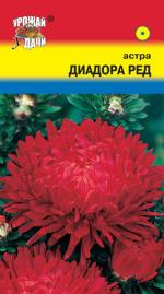 Астра    ДИАДОРА РЕД