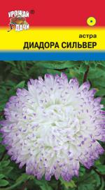 Астра    ДИАДОРА СИЛЬВЕР