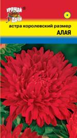 Астра   Королевский размер   АЛАЯ