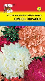 Астра   Королевский размер   СМЕСЬ ОКРАСОК