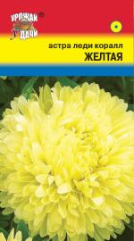 Астра   Леди Корал   ЖЕЛТАЯ