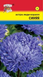 Астра   Леди Корал   СИНЯЯ