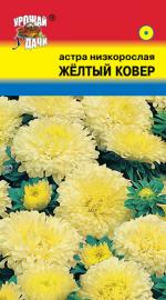 Астра  КОВЕР   ЖЁЛТЫЙ    Низкорослая