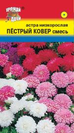 Астра   ПЕСТРЫЙ КОВЕР СМЕСЬ ОКРАСОК  Низкорослая   