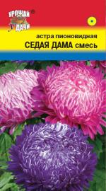 Астра   СЕДАЯ ДАМА, СМЕСЬ ОКРАСОК  Пионовидная 
