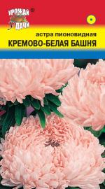 Астра  БАШНЯ КРЕМОВО-БЕЛАЯ    Пионовидная  