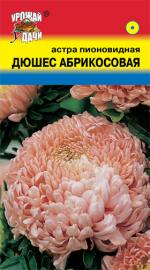 Астра  ДЮШЕС АБРИКОСОВАЯ   Пионовидная