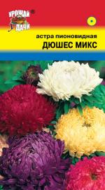 Астра  ДЮШЕС МИКС   Пионовидная