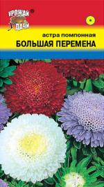 астра   Большая  перемена