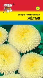 Астра   Помпонная   ЖЕЛТАЯ