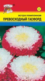 Астра   ПРЕВОСХОДНЫЙ ГАСФОРД    Помпонная   