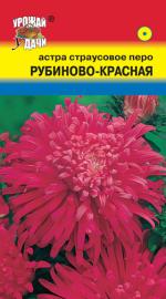 Астра  Страусово перо Рубиново - красная