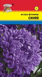 Астра  Фламир синяя