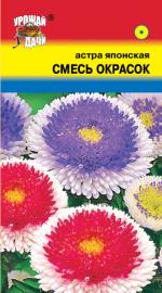 Астра  Японская  смесь окрасок