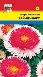 Астра Хай - но - мару Японская  