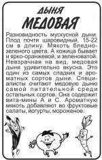 дыня медовая